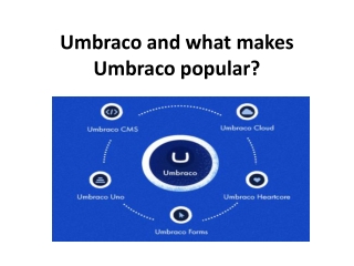 Umbraco and what makes Umbraco popular