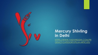 Mercury Shivling in Delhi