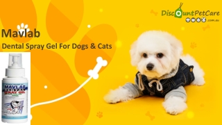 Buy Mavlab Dental Spray Gel For Dogs and Cats | DiscountPetCare