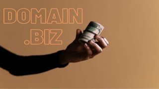 What Are .biz Domains Used For