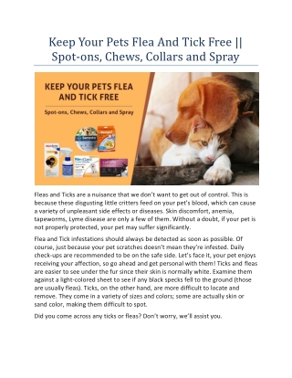 What is the best brand of flea and tick treatment for dogs?