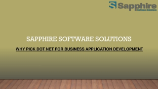 Why pick dot net for business application