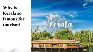 Why is Kerala so famous for tourism_ (1)