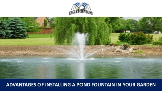 Advantages of Installing a Pond Fountain in Your Garden