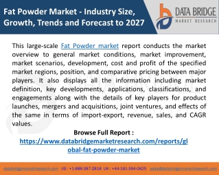 Fat Powder Market Size, Opportunities, Trends, Products, Revenue Analysis