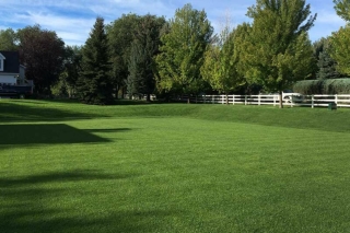 Sod Supplier - Fully established sod lawn laid in Denver