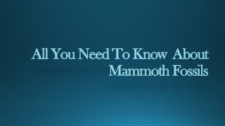 All You Need To Know  About Mammoth Fossils