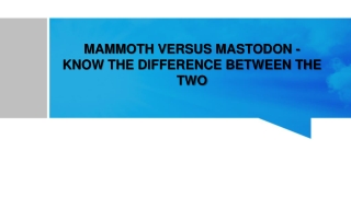 MAMMOTH VERSUS MASTODON - KNOW THE DIFFERENCE BETWEEN THE TWO