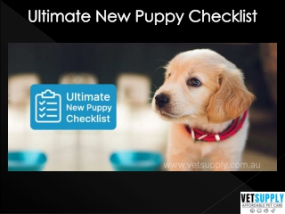 Ultimate New Puppy Checklist | Pet Supply | Pet Care | VetSupply