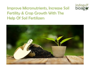 Improve Micronutrients, Increase Soil Fertility & Crop Growth With The Help Of S