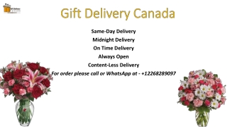 Order Online Carnation Flower Delivery in Canada| Gift Delivery Canada| Free Shi