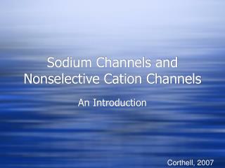 Sodium Channels and Nonselective Cation Channels