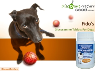 Buy Fidos Glucosamine Tablets For Dog Online | DiscountPetCare