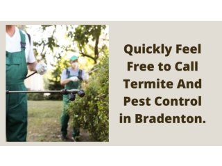 Quickly Feel Free to Call Termite And Pest Control in Bradenton.