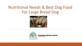 Nutritional Needs & Best Dog Food for Large Dog Breed