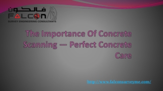 The Importance Of Concrete Scanning — Perfect Concrete Care