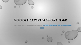 How to get Google expert help?