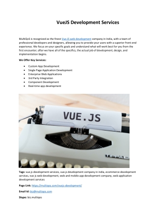 VueJS Development Services