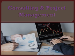 Consulting & Project Management