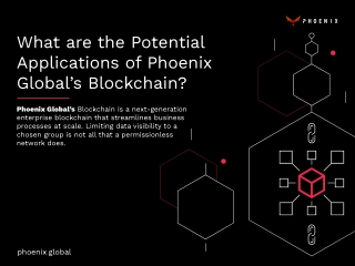 What are the Potential Applications of Phoenix Blockchain?