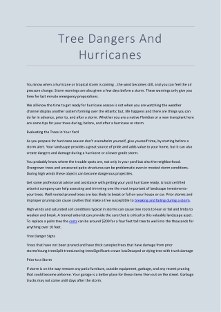 Tree Dangers And Hurricanes