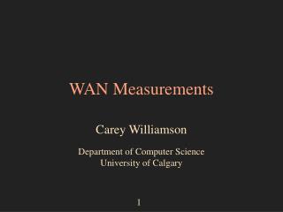 WAN Measurements