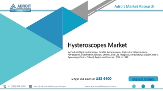 Hysteroscopes Market Size 2020-2025 Growth Analysis by Manufacturers, Regions, T