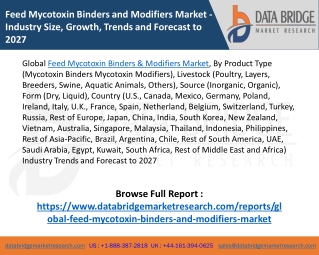 Global Feed Mycotoxin Binders and Modifiers Market – Industry Trends, Forecast