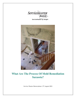 Mold Remediation Service At Best Price | Service Master Restorations