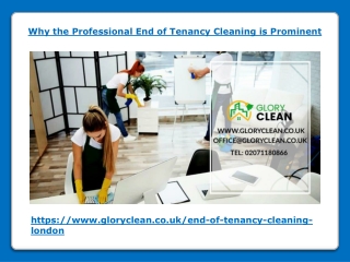 Why the Professional End of Tenancy Cleaning is Prominent