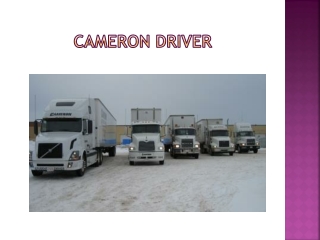 Safety Tips Every Truck Driver Must Follow To avoid Risk
