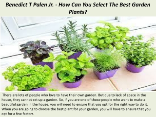 Benedict T Palen Jr. - How Can You Select The Best Garden Plants