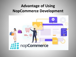 Advantage of Using NopCommerce