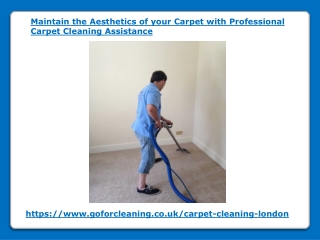 Maintain the Aesthetics of your Carpet