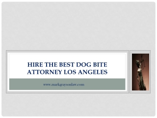 Hire the Best dog bite attorney Los Angeles
