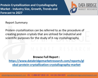 Protein Crystallization and Crystallography  Market