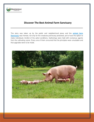 Discover The Best Animal Farm Sanctuary