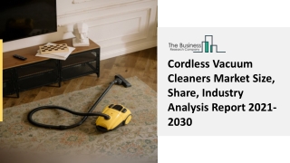 Cordless Vacuum Cleaners Equipment Market, Channel Analysis 2030