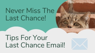 Never Miss The Last Chance! Tips For Your Last Chance Email!