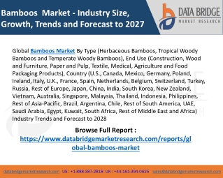 Bamboos Market - Industry Trends and Forecast