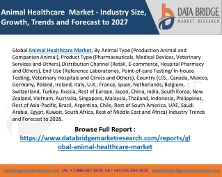 Animal Healthcare Market - Industry Trends and Forecast