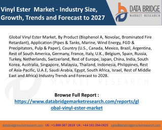 Vinyl Ester Market: Features, Opportunities and challenges
