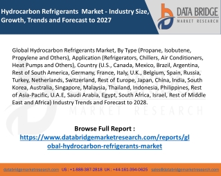 Hydrocarbon Refrigerants Market – Industry Trends and Forecast