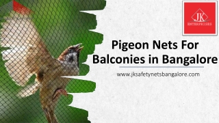 Pigeon Nets For Balconies in Bangalore