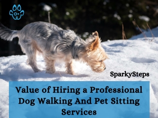 VALUE OF HIRING A PROFESSIONAL Dog Walking And Pet Sitting Service