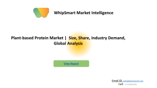 Plant-based Protein Market  Size, Share, Industry Demand, Global Analysis