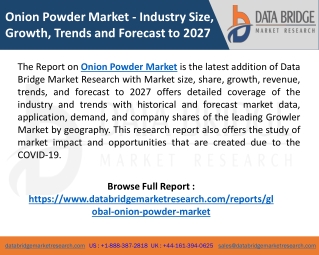 Onion Powder Market Size, Types, Applications, Top Key Players & Forecasts 2027