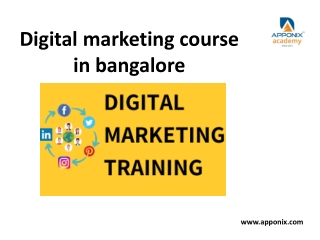 Digital Marketing Courses in Bangalore