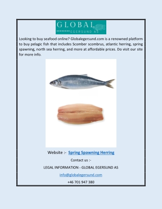 Spring Spawning Herring