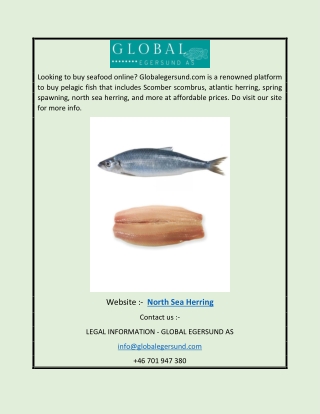 North Sea Herring | Globalegersund.com